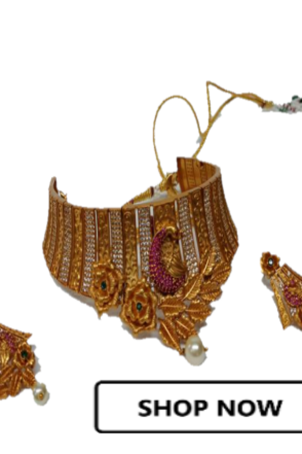 RRR00010 banner for shop now 5